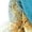 Mint Green, variant on Sheer Chiffon Women Lightweight Floral Scarf Wrap Set for Dresses Travel Parties and Everyday Outfits Shawls and Wraps for Evening Dresses