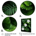 thumbnail image 3 of Designart "Ferns Plant Monochrome Euphony I" Floral & Botanical Floater Framed Canvas Print, 3 of 7