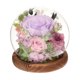thumbnail image 3 of Regalos para el día de la madre, flores preservadas, regalo a largo plazo, decoración de mesa, adorno, regalos para mujeres, flores reales para mamá, Violeta, 3 of 10