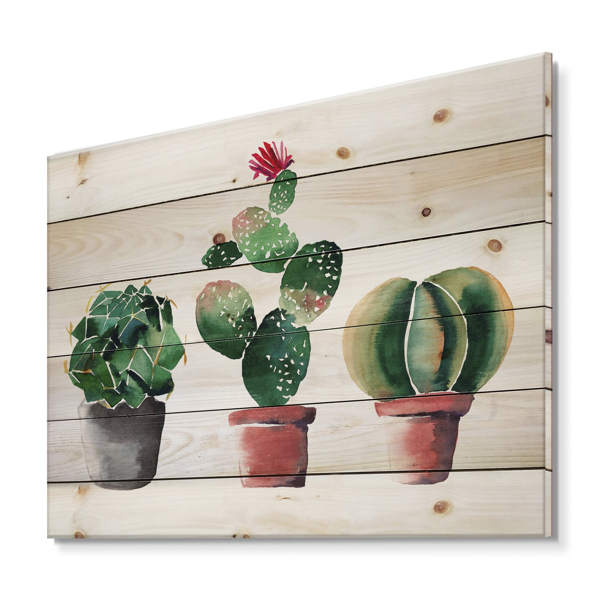 Designart 'Three Cacti In Clay Pots On White' Botanical Print on Natural Pine Wood