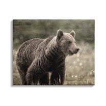 Stupell Industries Brown Bear Wildlife Animals & Insects Painting Gallery Wrapped Canvas Art Print Wall Art, 30 x 24