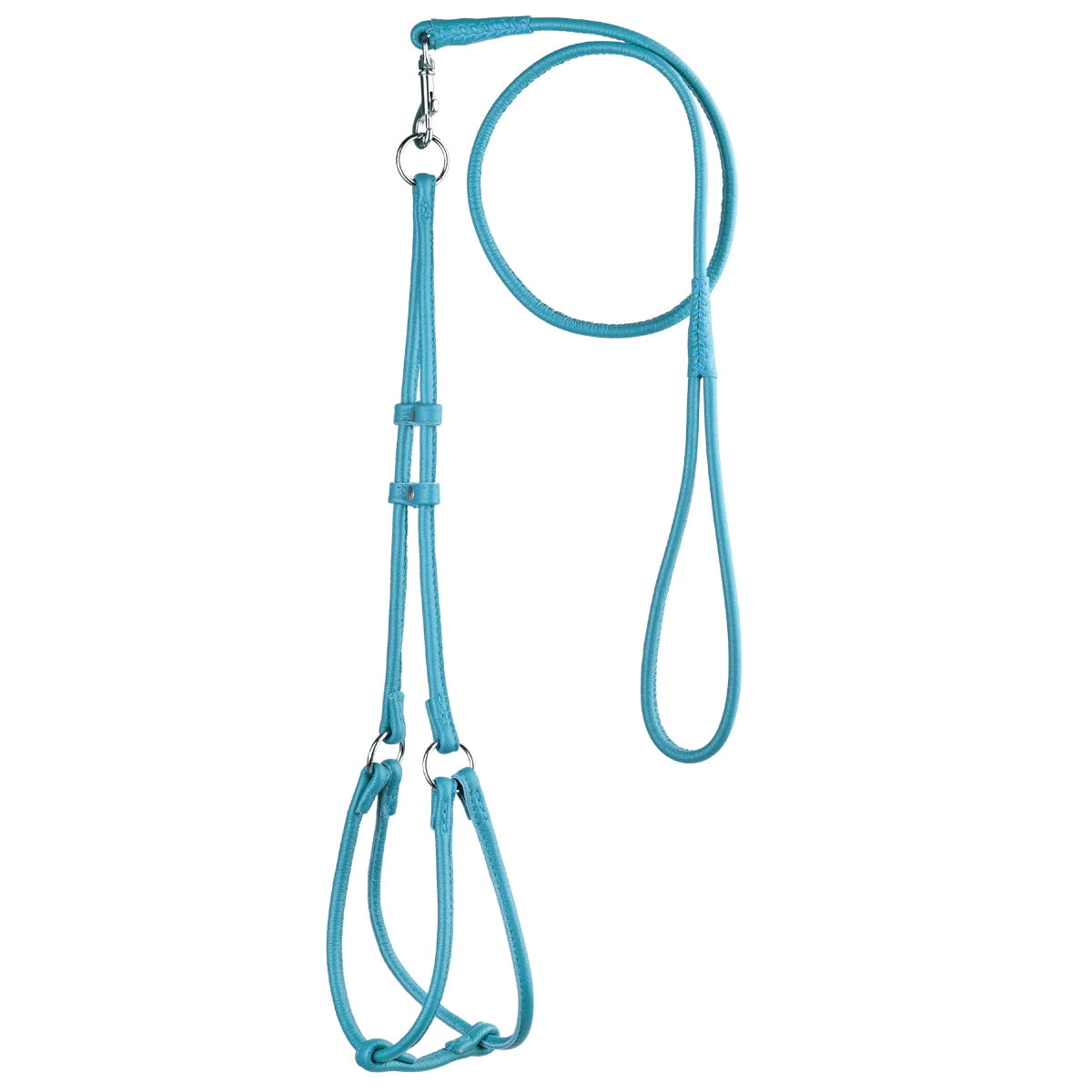 Elevate Your Pet's Style: Soft Leather Round Step-In Harness + Round Lead Combo