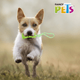 thumbnail image 2 of Juguete Hueso C/Cuerda Pull Fancy Pets hueso con cuerda, 2 of 2