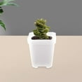 thumbnail image 4 of unbranded 24pcs Durable Transparent Plastic Mini Planters For Indoor Plants Pots For Home Decor And Vegetable Gardening, 4 of 8