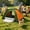 Green+Orange, variant on 2-3 Person Tents for Camping, Lightweight Camping Tent Portable Instant Pop up Camping Tent for Outdoor Family, Outdoor Easy Set Up Automatic Family Travel Tent for Hiking Outdoor Travel Camping