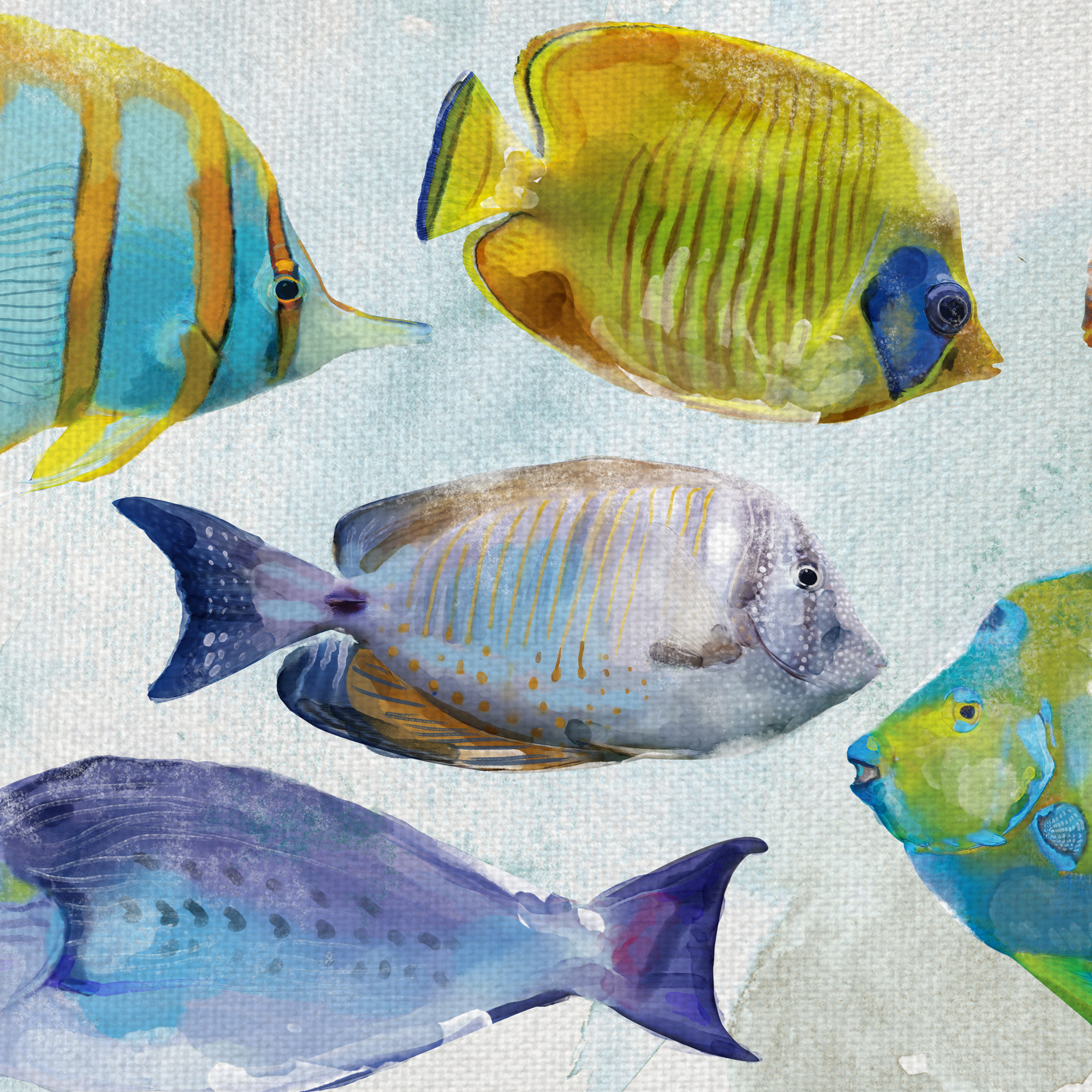 Fine Art Canvas Tropical Swim Fish Assortment by Studio Arts Canvas Art Print