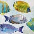 thumbnail image 3 of Fine Art Canvas Tropical Swim Fish Assortment by Studio Arts Canvas Art Print, 3 of 4