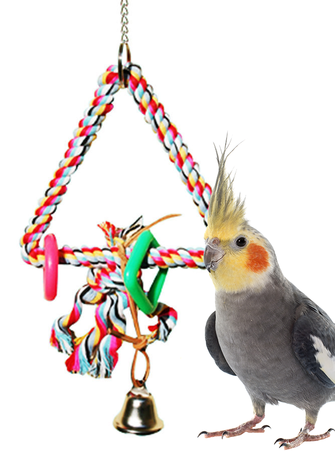 bird toys walmart