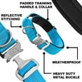 thumbnail image 2 of Black Rhino - Tactical Dog Collar Ultra-Soft Neoprene Padded Dog Collars for Medium, Large, XL Dogs | Heavy Duty Metal Buckle | Padded Handle for Dog Training (Large, Sport Blue), 2 of 6