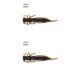 thumbnail image 1 of Soidarity 10 Uds. De cebos de insectos de simulación, señuelos de pesca portátiles, cebos de pesca suaves reutilizables, 55MM, tipo N norte 55MM 2piezas Soidarity CBP149424, 1 of 6