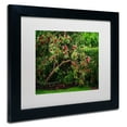 thumbnail image 3 of Trademark Fine Art "The Apple Tree" Canvas Art by Philippe Sainte-Laudy, White Matte, Black Frame, 3 of 4