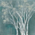 thumbnail image 4 of Jennifer Goldberger 12x12 Black Modern Wood Framed Wall Art Titled - Ethereal Birches I, 4 of 6