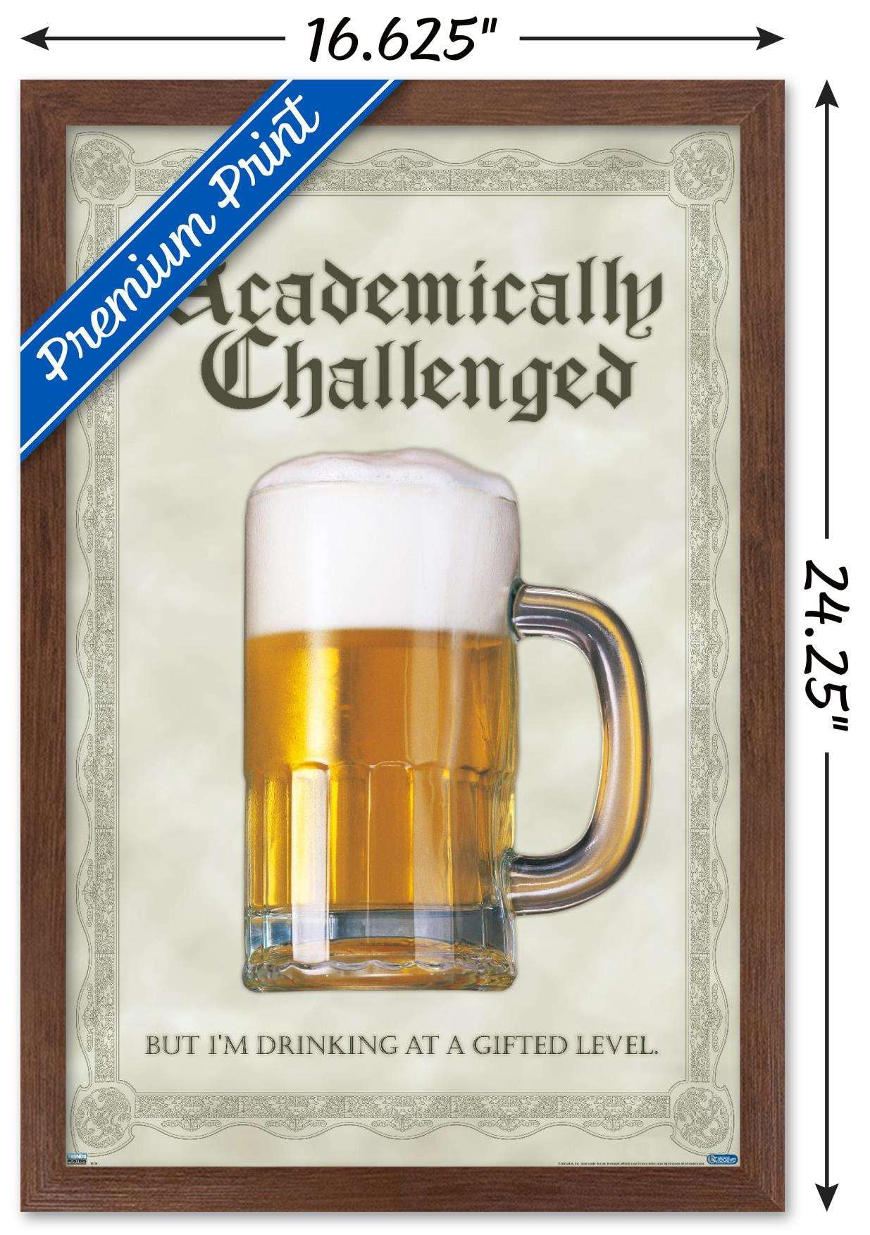 Academically Challenged Wall Poster, 14.725" x 22.375", Framed