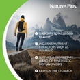 thumbnail image 3 of Suplemento Hema-Plex Iron de NaturesPlus, 60 minicomprimidos, x2, 3 of 5