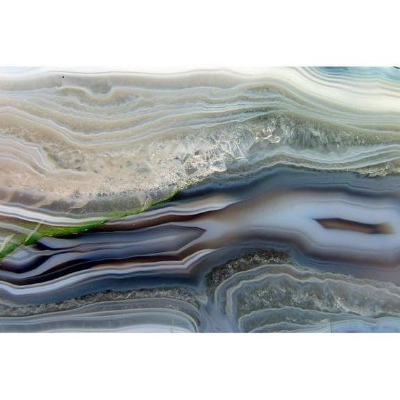 Marmont Hill "Crustations" Painting Print on Wrapped Canvas