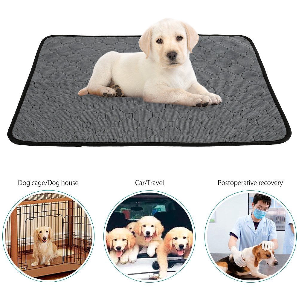 POINTERTECK Tapis de Propreté Lavables pour Chien Tapis d'Entraînement Réutilisables Imperméables avec Grande Absorption d'Urine pour l'Entraînement à la Mise Bas Tapis d'Absorption Antidérapants pour Chien