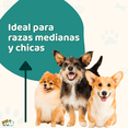 thumbnail image 3 of Casa para perro Mediano / Chico MascoAmigo con Puerta Metalica-Termica-de plastico 91.5x69x66 cm Verde, 3 of 8