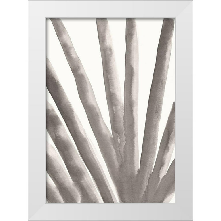 aloe vera pflanze kaufen bauhaus Aloe Vera :12 H:25 cm - Pflanzen sicher zu dir nach Hause