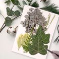 thumbnail image 4 of Hoja seca natural DIY Hecho a mano artesas de arte en relieve hojas de decoración Decoración del hogar para tarjetas de boda Resina Vela verde hoja 8 Guardurnaity HA010772-03, 4 of 7