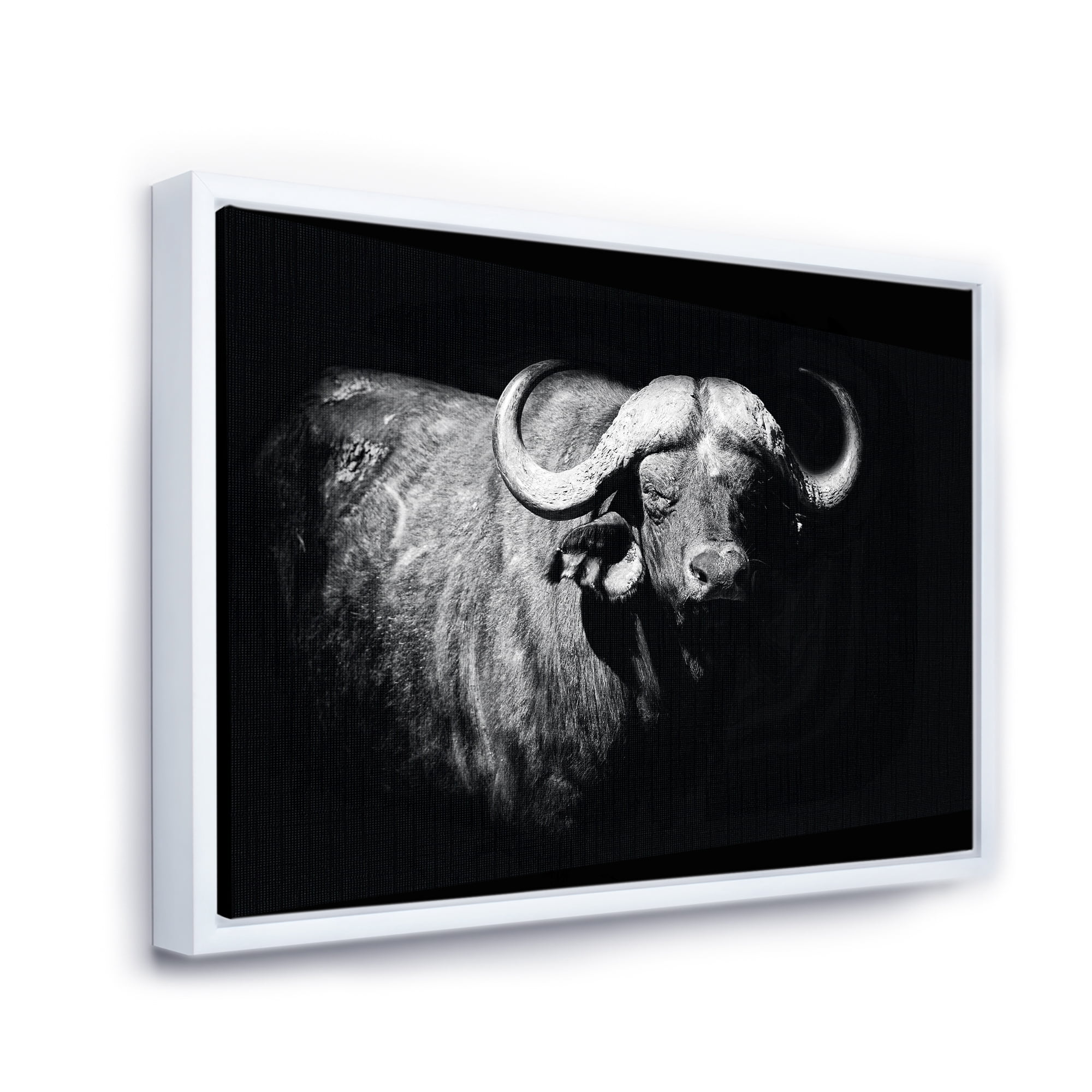 Black and White Portrait Of Buffalo I 40 in x 30 in Framed Photography Canvas Art Print, by Designart