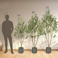 thumbnail image 5 of Olive Trees Artificial Indoor, 5FT Tall Faux Olive Tree with White Tall Planter, Artificial Plants with Natural Wood Trunk and Lifelike Fruits for Home Office Decor, 5 of 11