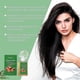 thumbnail image 3 of 1-3x Batana Oil Rosemary Shampoo, Hair Growth Treatment, Volumizing And Fluffy, Reduce Hair Loss Shampoo For Men Women - Mxbc, 3 of 5