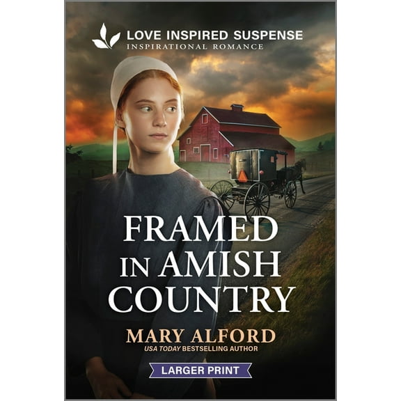 Framed in Amish Country, (Paperback)