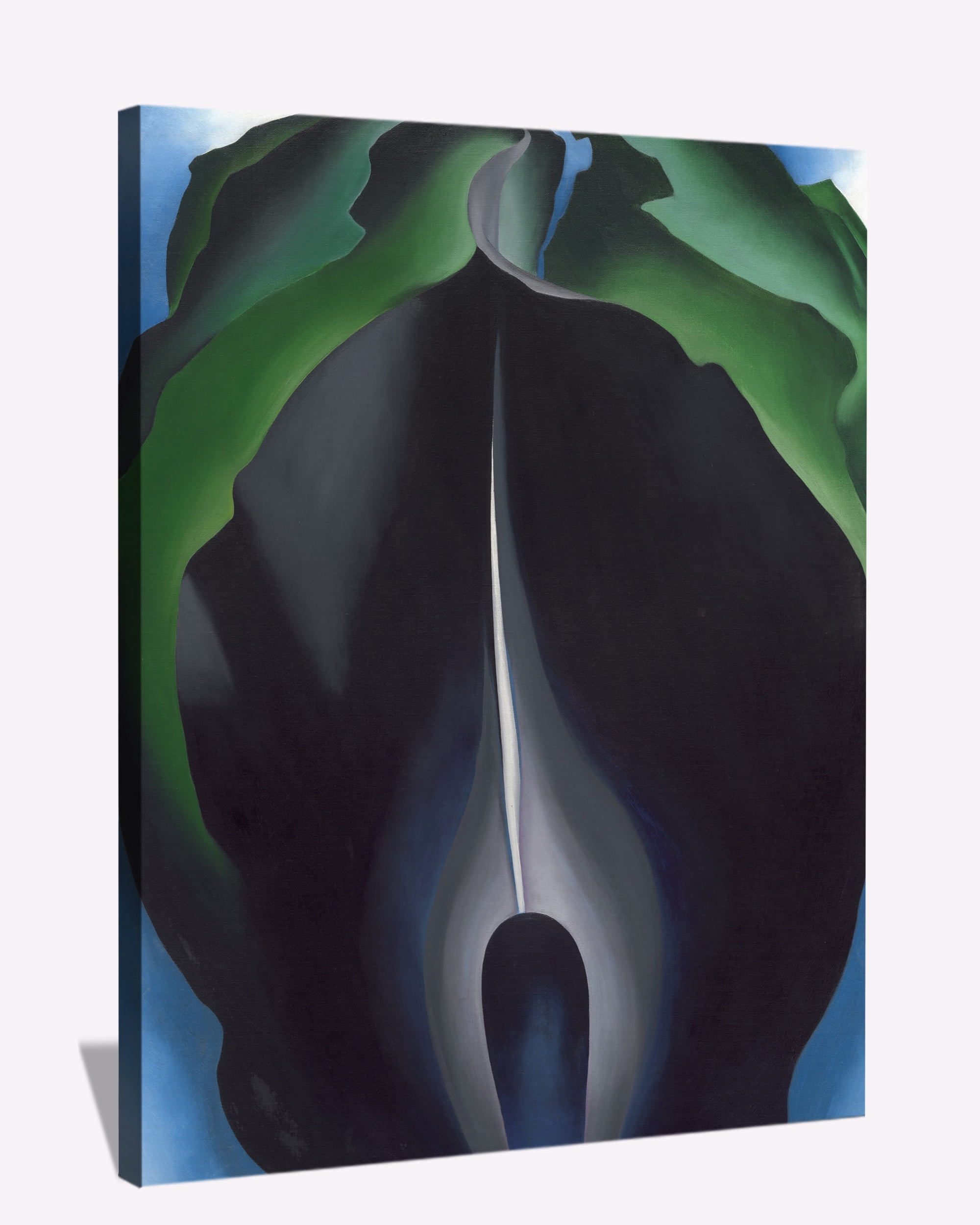 Keeffe Paintings Enlarged Flowers Wall Art Jack In The Pulpit