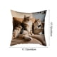 thumbnail image 3 of Juego de almohadas con estampado de animales bonitos para dormitorio, sala de estar, sofá, cojín de 45 x 45 cm para decoración de sofá y sala de estar, funda de almohada aterciopelada., 3 of 6
