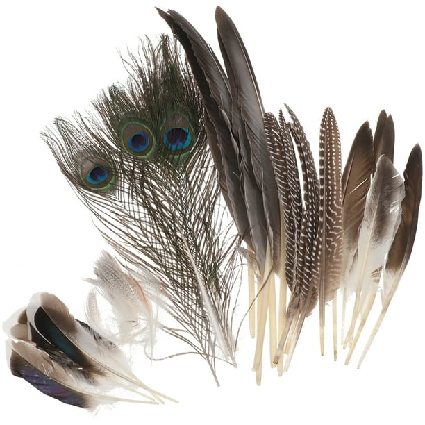 30 plumas para manualidades, elegantes plumas para fiestas, hermosas plumas naturales para manualidades, decoraciones de boda y decoración del hogar