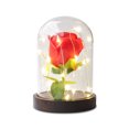 thumbnail image 1 of RisingPro Rose Beauty LED Light Up Light Enchanted Flower Glass Dome Wedding Party Gift, 1 of 5
