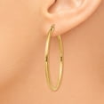thumbnail image 3 of 14K Yellow Gold Polished 2mm Round Hoop Earrings, 3 of 4