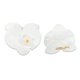 thumbnail image 3 of Ofertas Únicas 2 Pcs Clip de Pico de Pato Phalaenopsis Clips de Pelo de Perlas Falsas para Mujeres Blancas, 3 of 5