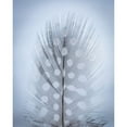thumbnail image 3 of Mahan, Kathy 12x14 Black Modern Framed Museum Art Print Titled - Feather Study I, 3 of 5
