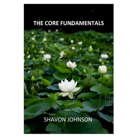 The Core Fundamentals, (Paperback)