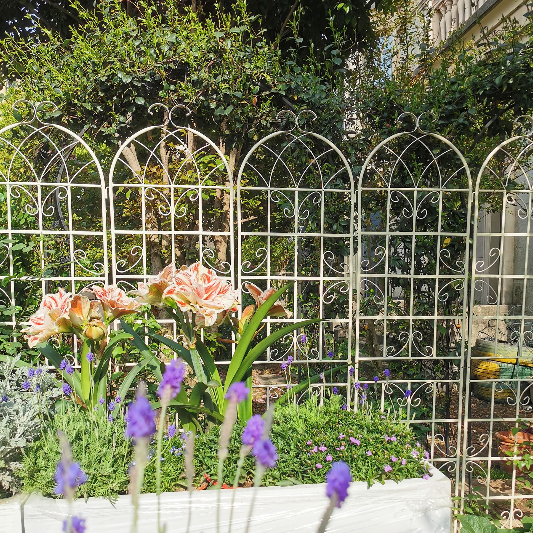 2 Pack Large Garden Trellis 86.7" H x 19.7" W Heavy Duty Rustproof White Iron Plant Trellis for Potted Plant Support Metal Climbing Rose Trellis Vine Vegetable Cucumber