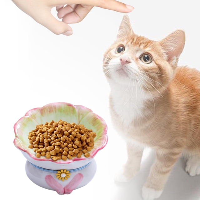 Ceramic Cat Bowl Snack Recipe Protect Pet cuellos s menos vómitos para gatos pequeños, medianos y grandes cachorros de cachorros de interior Verde