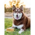 thumbnail image 2 of peaksNpaws Yak Cheese Himalayan Dog Chews, High Protein, Natural Dog Treats Large Breed, Lactose Free Chew Sticks for Aggressive Chewers, Long Lasting Pet Treat for Dogs Under 80 lbs, 3 X-Large Chews, 2 of 6