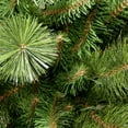 thumbnail image 4 of National Tree Company 7.5 ft. Pre-Lit Artificial Slim Christmas Tree, Green, Rocky Ridge Pine, 600 Clear Lights, Includes Stand, 4 of 4