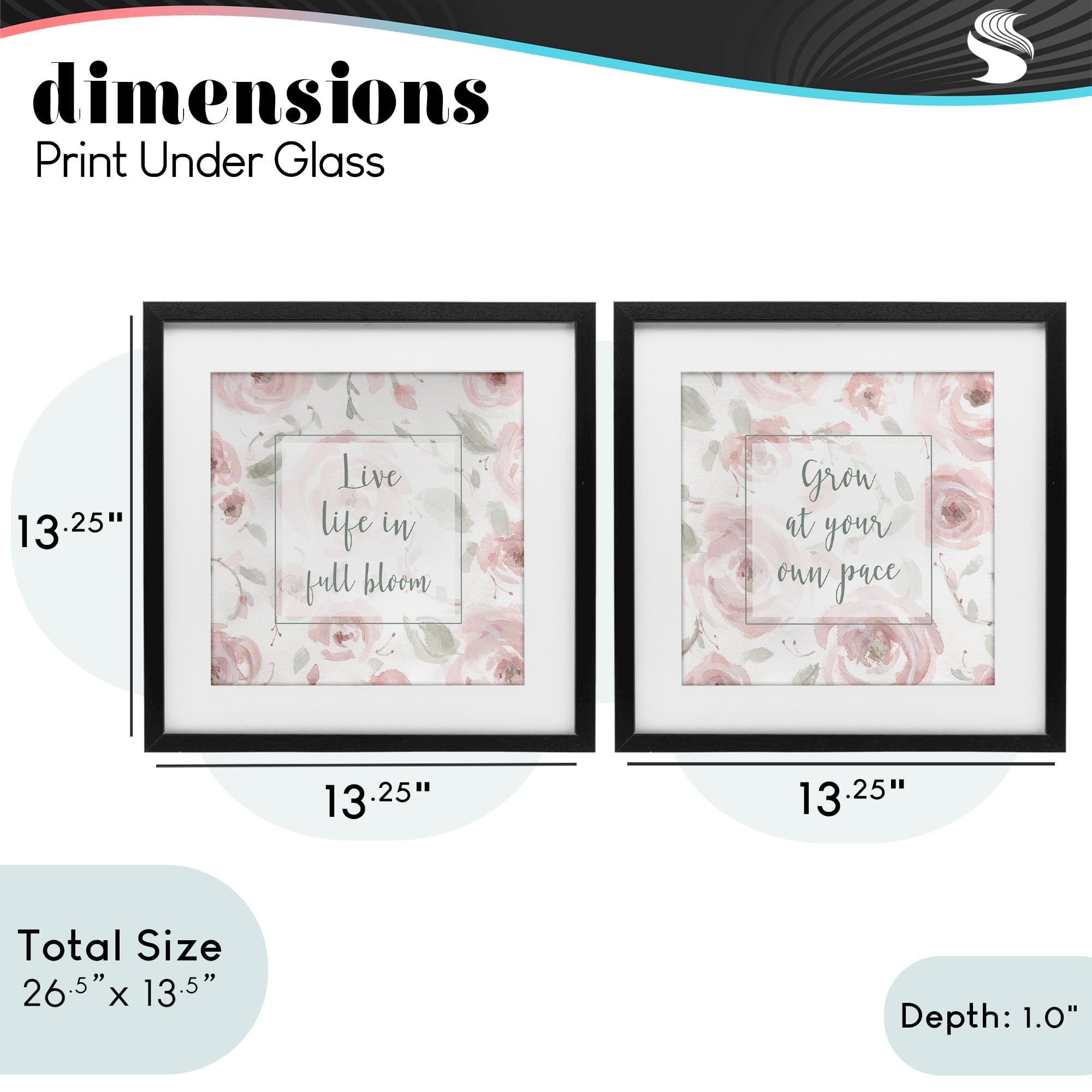 Stupell Industries Full Bloom at Your Pace Florals 2 Piece Black Framed Print Under Glass Set, design by Carol Robinson