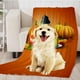 thumbnail image 2 of de La Franela 3D Del Animal Doméstico de Comfortabel / La Del Resto Del para El Perro Y - 7 - Calabaza 2, 2 of 8
