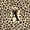 Brown A, variant on Feelyou Leopard Print Letter T Twin Quilt Set for Girls, Beige Black Cheetah Bow Twin Coverlet Set, 2pcs