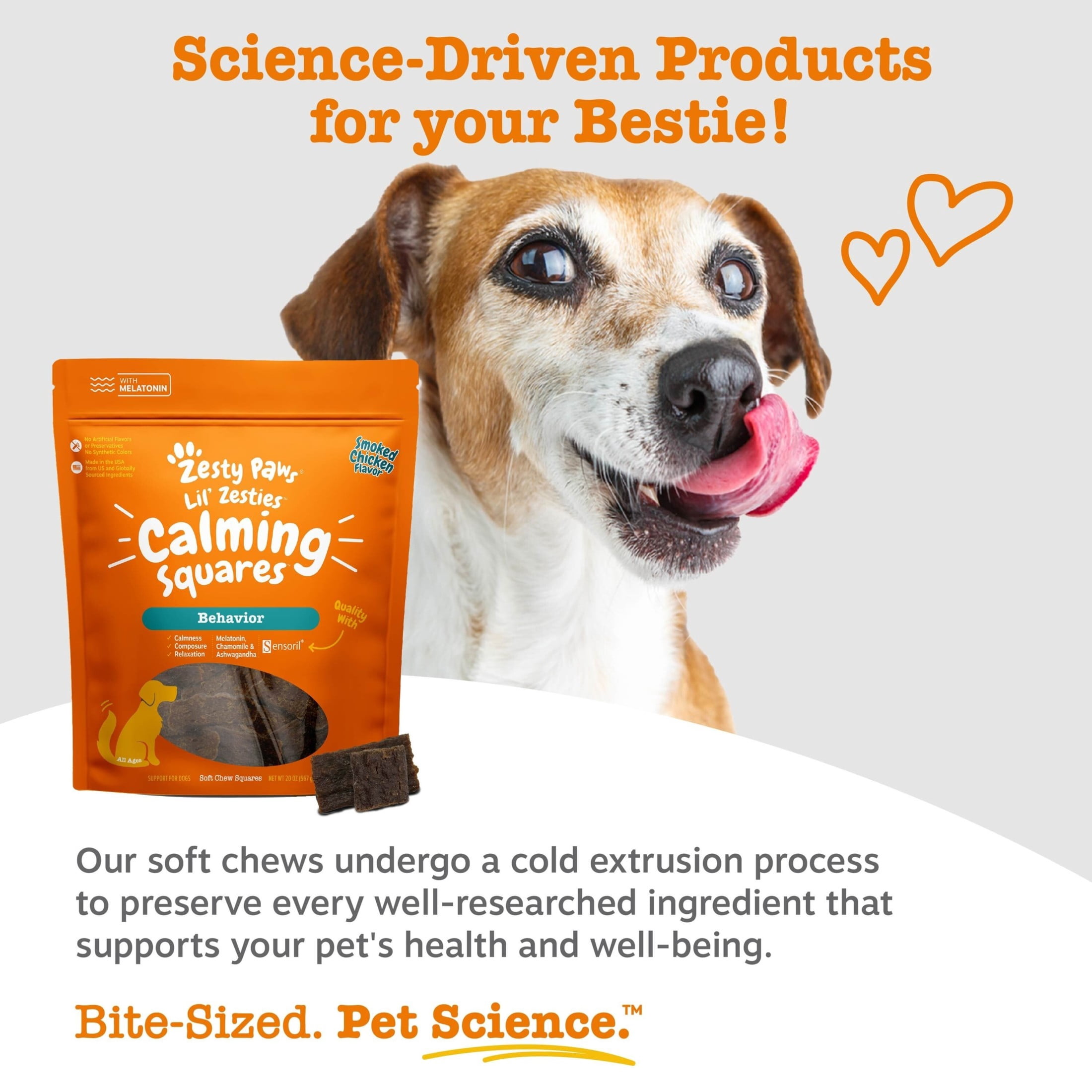 Zesty Paws Lil’ Zesties Calming Squares, 20oz
