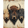 thumbnail image 1 of Qisvanset 12x16 Inch Vintage Bison Buffalo Canvas Wall Art, Western Prairie Rustic Art Decor for Cabin Farmhouse, 1 of 8