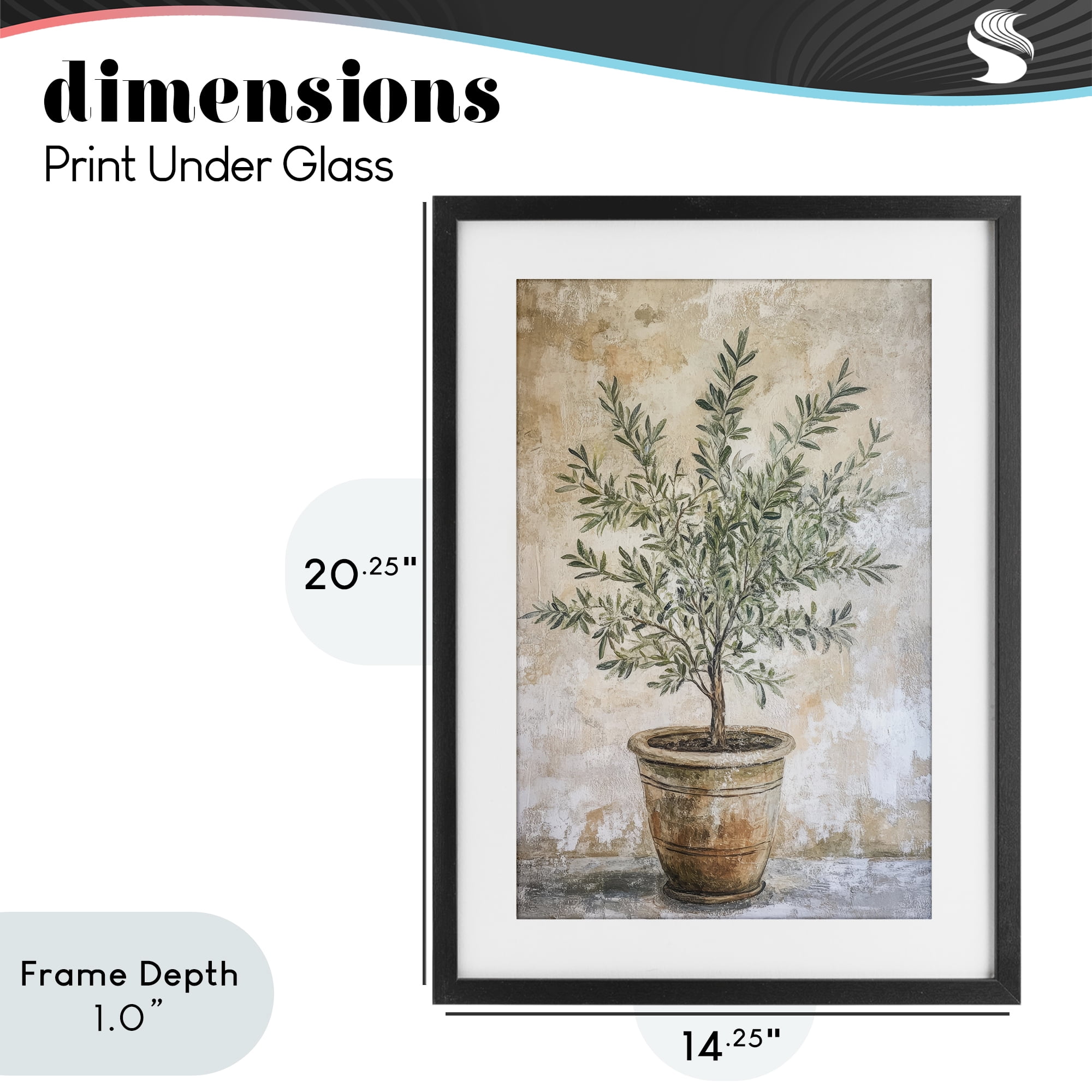 Stupell Industries Mediterranean Potted Olive Black Framed Print Under Glass, design by Petal Prints Design