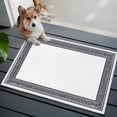 thumbnail image 4 of White Greek Key Large Area Rugs for Bedroom Living Room, Soft Non Slip Carpet Bedside Rug, Geometric Greece Ancient Farmhouse Geo Rectangular Floor Cover Kitchen Accent Rug 2'x3' for Office, 4 of 9