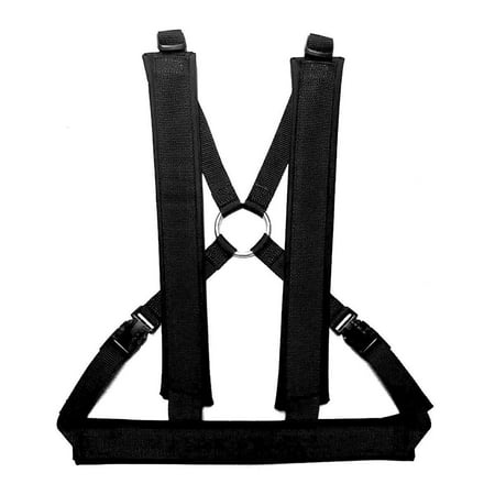 Speedster Dual Use Harness?