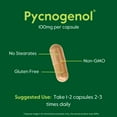 thumbnail image 2 of Pycnogenol 100mg (120 Capsules) (2 x 60) - French Maritime Pine Bark Extract - No Stearates - Gluten Free - Non GMO, 2 of 7