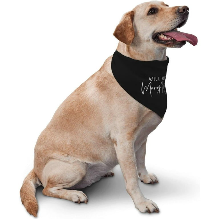 PRIYAL Will You Marry Me Wedding Engagement Announcement Marriage Proposal Dog Bandana Pet Accessories for Dog Lovers Wedding Photo Props Accessories Black Walmart