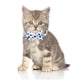 thumbnail image 3 of Paquete de 2 collares para gatos separables con pajarita, collares para gatos con hebilla de seguridad y campana, collares con estampado de verano, 3 of 5